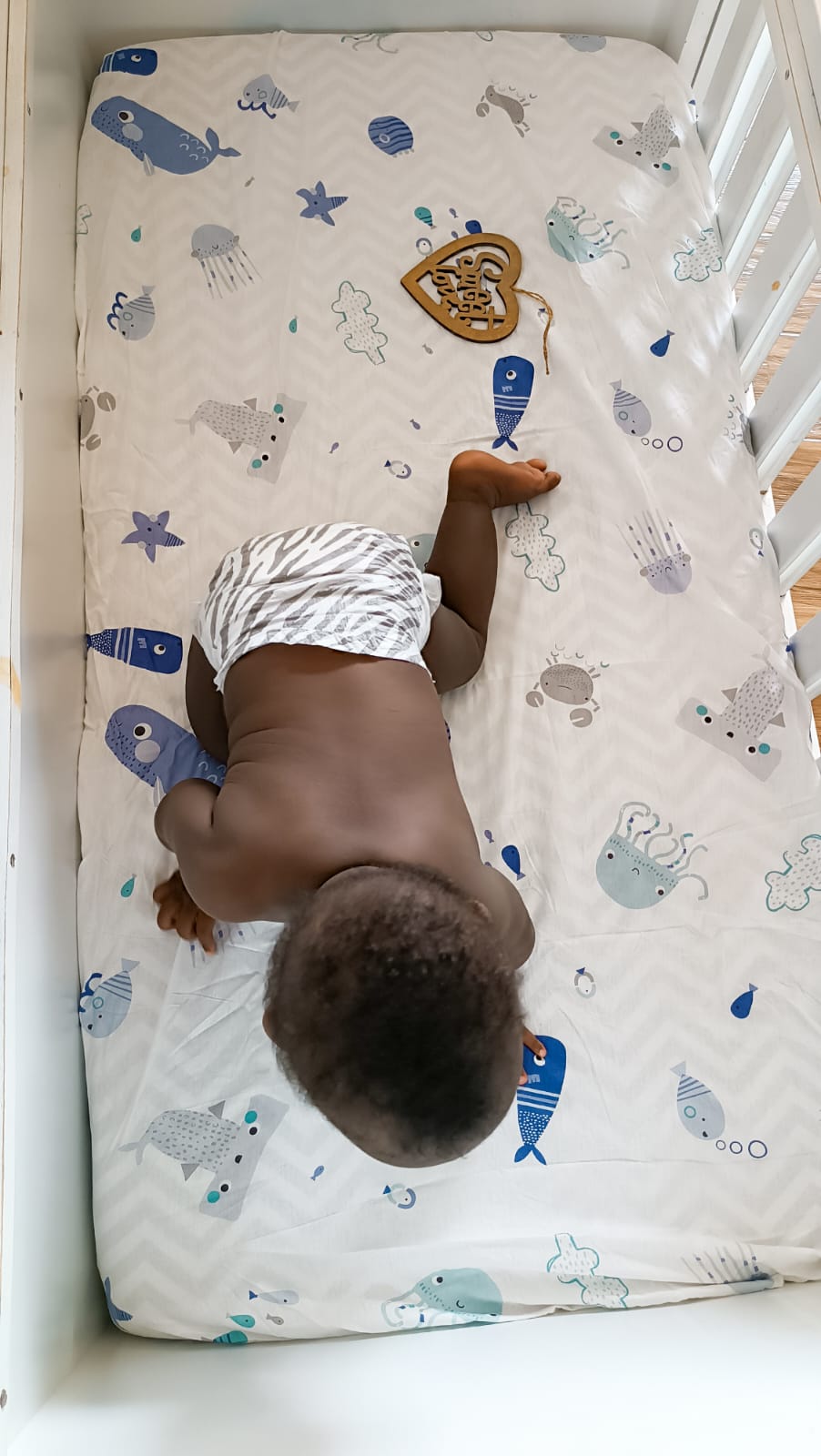 Fitted Crib Bedsheet- Sea Life
